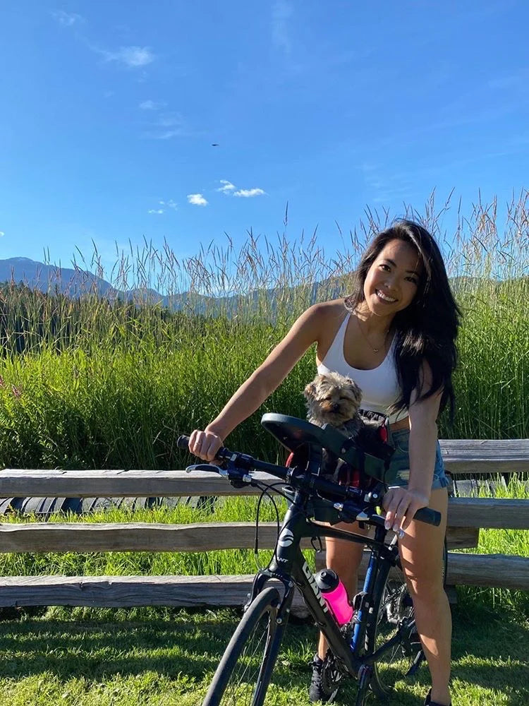 Small dog sitting comfortably in the Buddyrider bicycle pet carrier