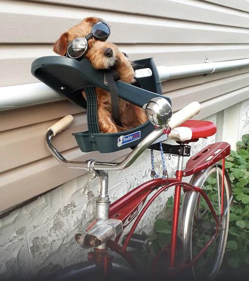 Cute dog taking a nap in its Buddyrider bicycle pet carrier