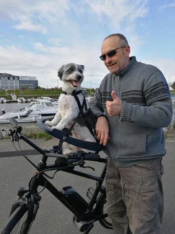 Happy dog, excited to be in its Buddyrider bike dog carrier