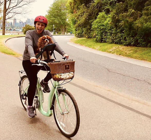 Person riding a bike with their small dog safely secured in the Buddyrider bicycle pet carrier attached to the bike's seat post