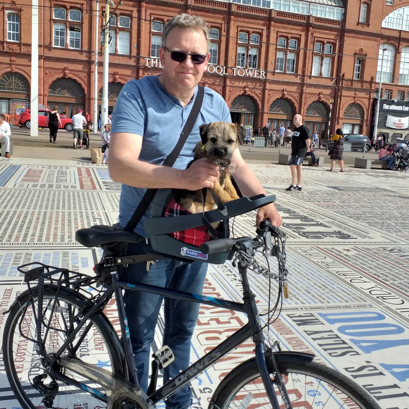 Small dog sitting comfortably in the Buccyrider bicycle pet carrier with BuddyBooster Cushion Insert