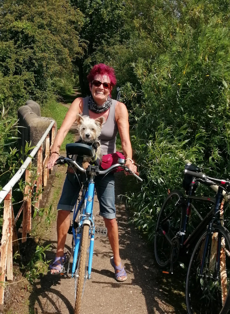 Person riding a bike with their small dog safely secured in the Buddyrider bicycle pet carrier attached to the bike's seat post