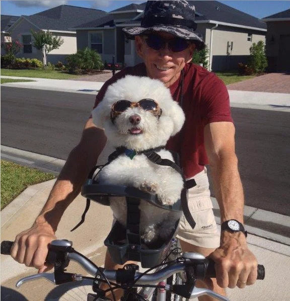 Close-up of a small dog in the Buddyrider bicycle pet carrier