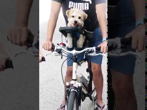 Load video: Video title