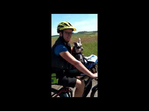 Load video: Video title