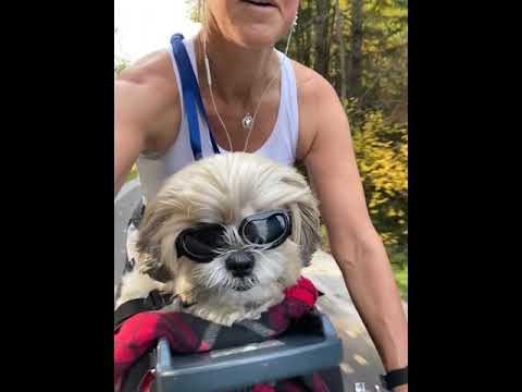 Load video: Video title