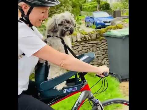 Load video: Video title