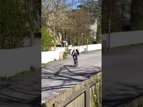 Load video: Video title