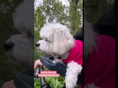 Load video: Video title