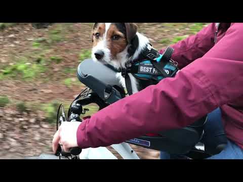 Load video: Video title