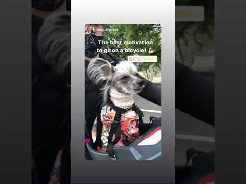 Load video: Video title