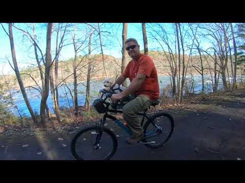 Load video: Video title