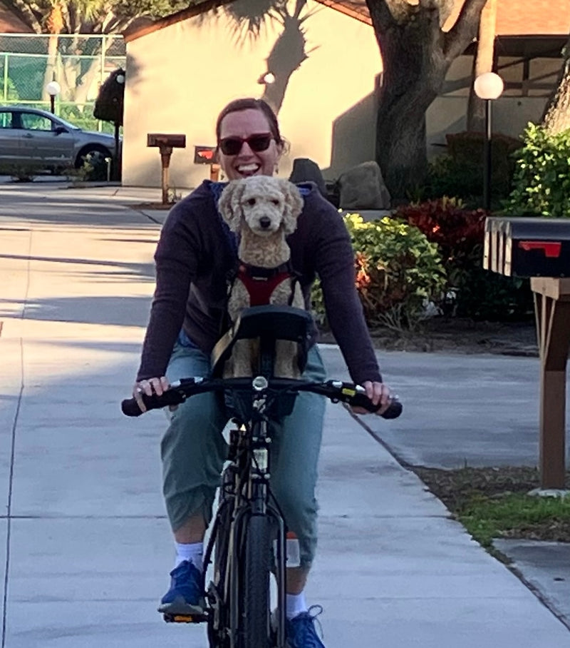 Person riding a bike with their small dog safely secured in the Buddyrider bicycle pet carrier attached to the bike's seat post.